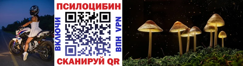 наркотики  Шумиха  Галлюциногенные грибы прущие грибы 