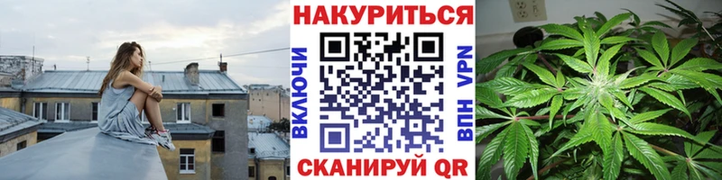 Канабис семена  где купить наркотик  Шумиха 